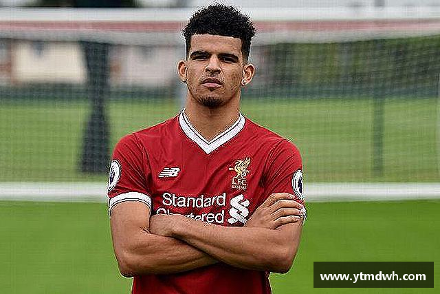 关于BB视讯在线登录